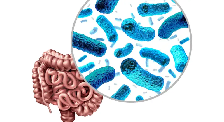 What is Gut Microbiota?