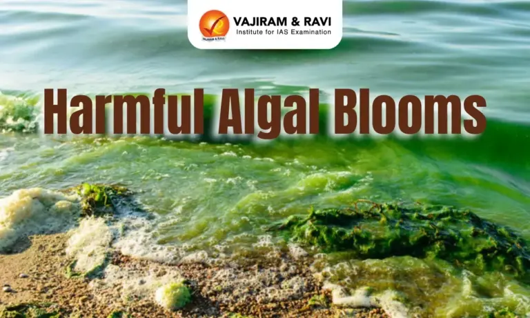 Algal Blooms