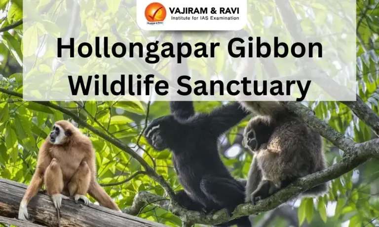 Hollongapar Gibbon Wildlife Sanctuary