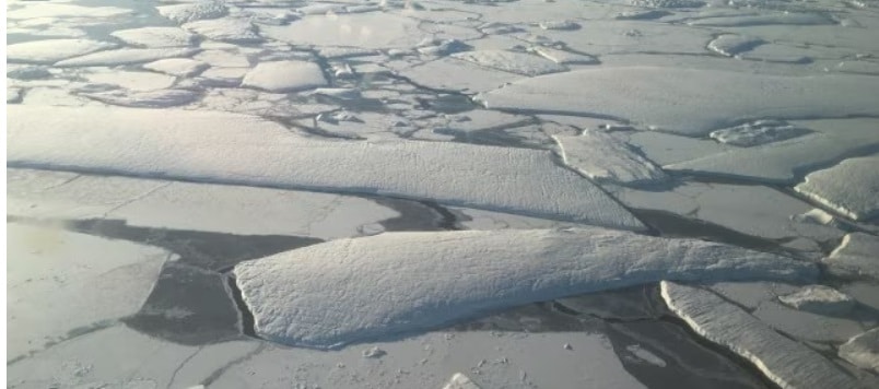 How the hottest summer ever affected the Arctic