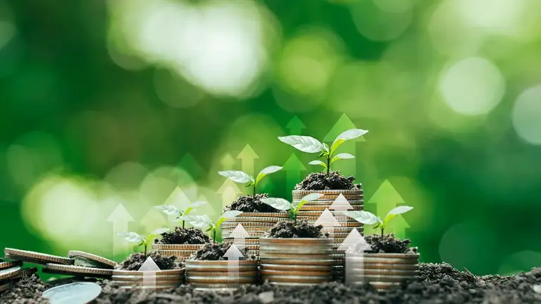 Declining Household Savings - Not a Mere Change in Saving Pattern