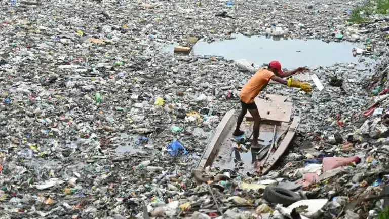 How to Deal with the Plastic Waste Menace?