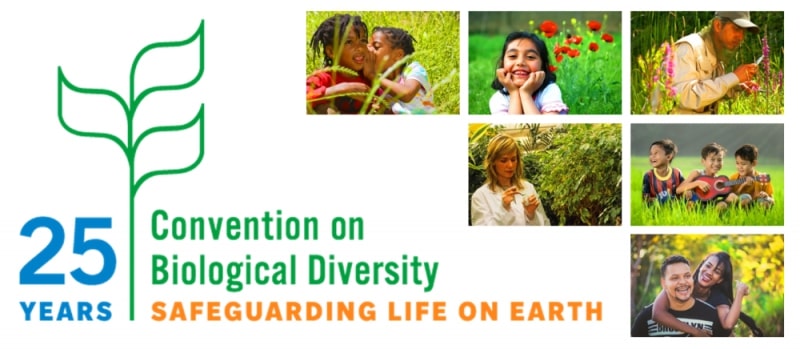 Humanity has become a weapon of mass extinction: Guterres at COP15