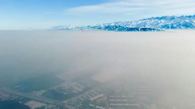 Hydroxymethanesulphonate