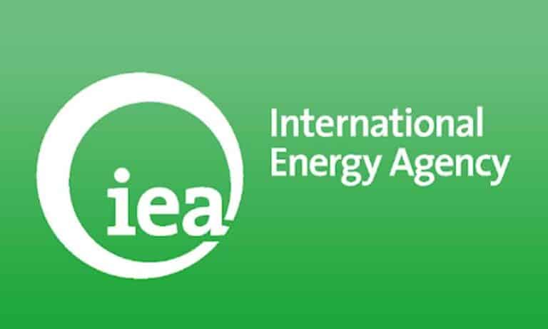 What is International Energy Agency (IEA)?