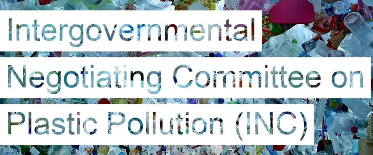 What is Intergovernmental Negotiating Committee on Plastic Pollution?
