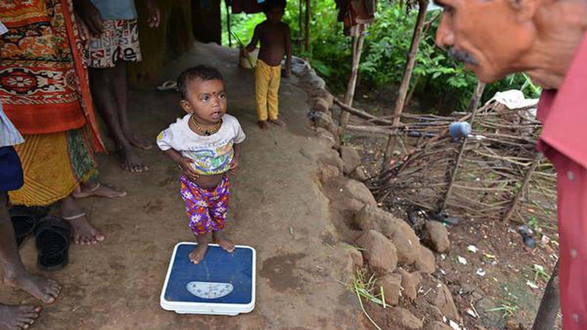 India sees Reduction in Stunting; but Wasting, Obesity are Concerns: Report