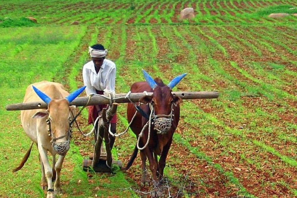 India’s Latest Farm Exports Data