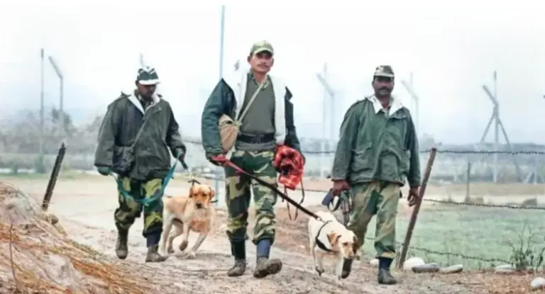 Integrated commands structure plan