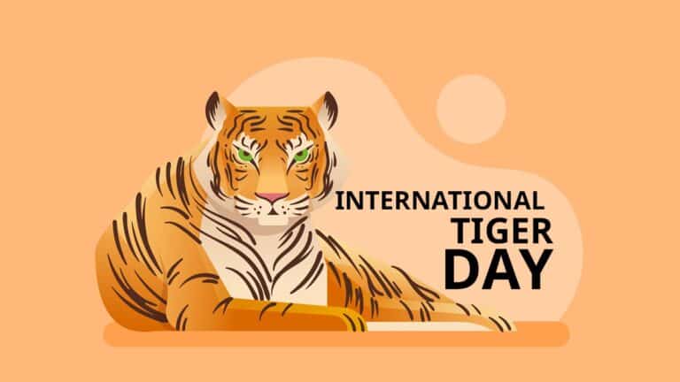 International Tiger Day: How Project Tiger saved the big cat in India