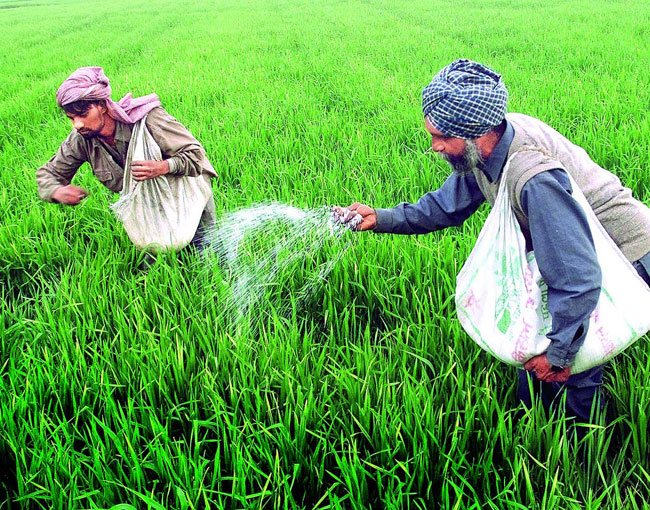 Issues Related to Fertiliser Subsidies