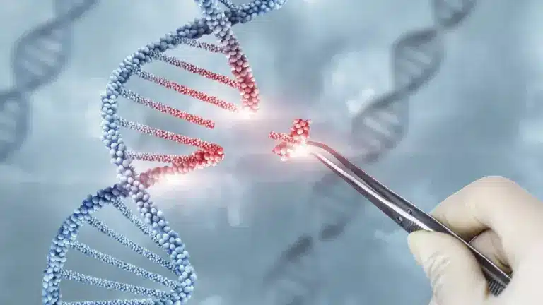 What is Junk DNA?