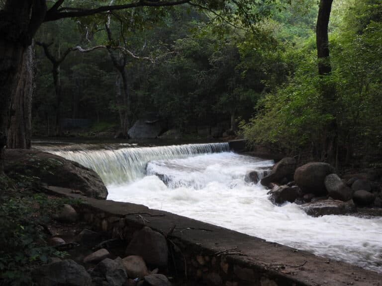 Kalakkad-Mundanthurai Tiger Reserve