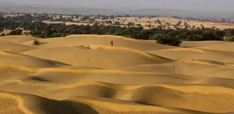 Key Facts about Thar Desert