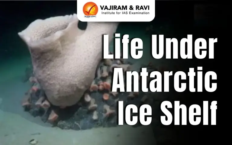 Life under the Antarctic Ice Shelf