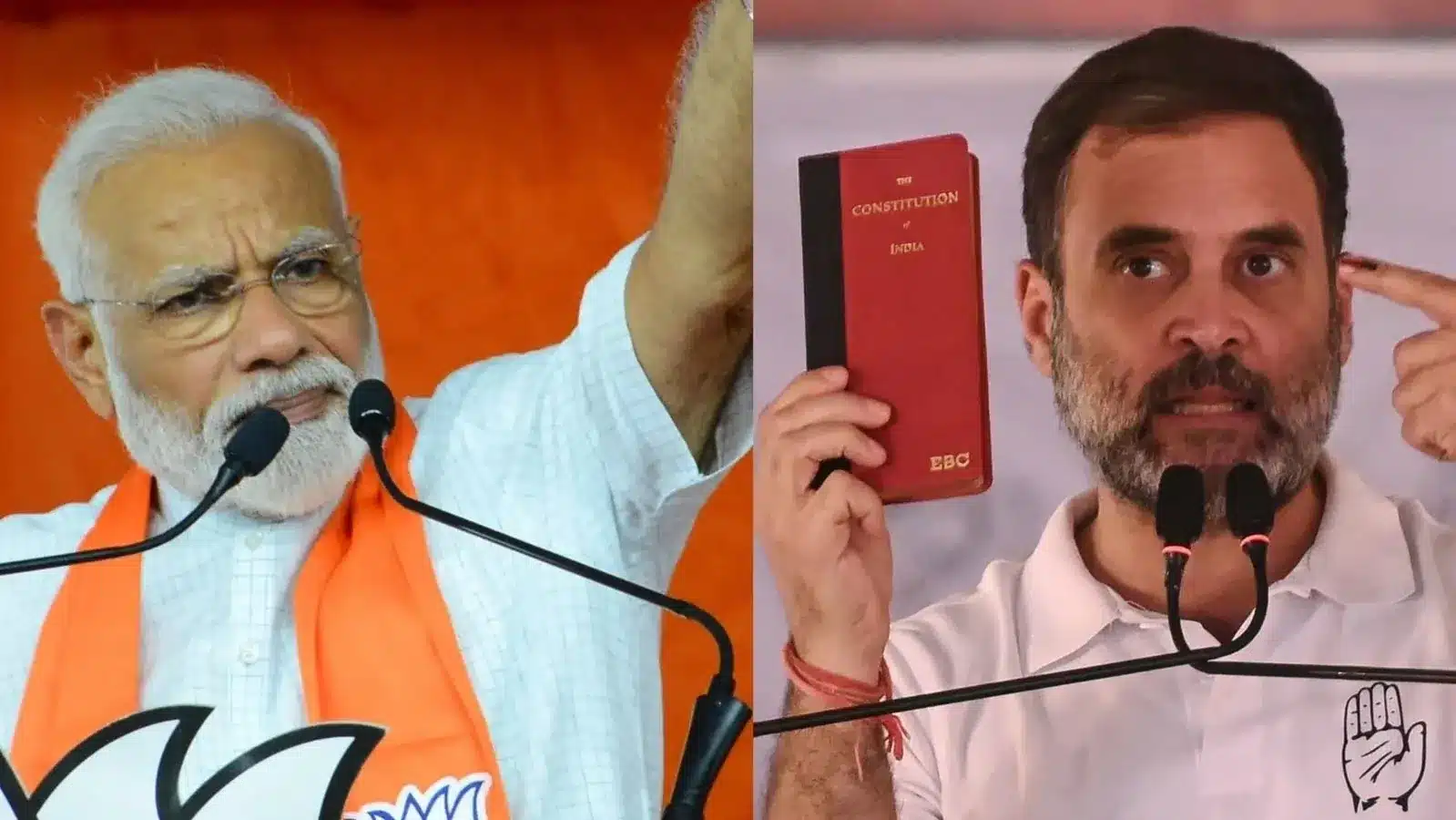 Decoding the Lok Sabha Election Verdict 2024