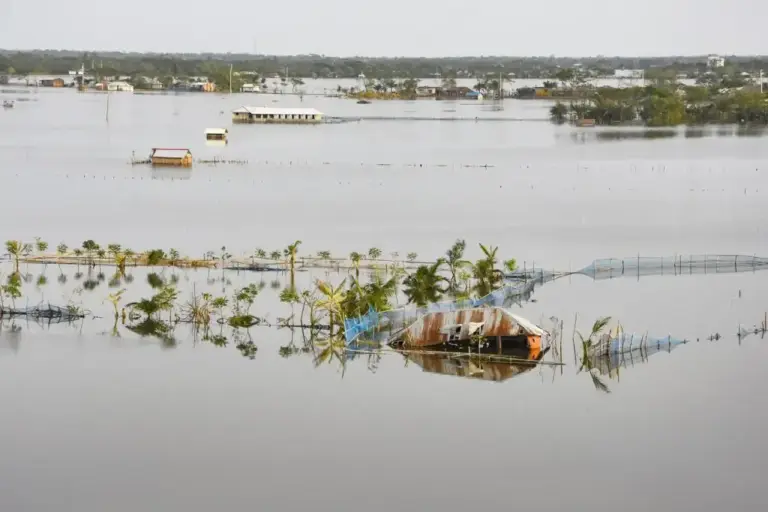 Loss and Damage Board