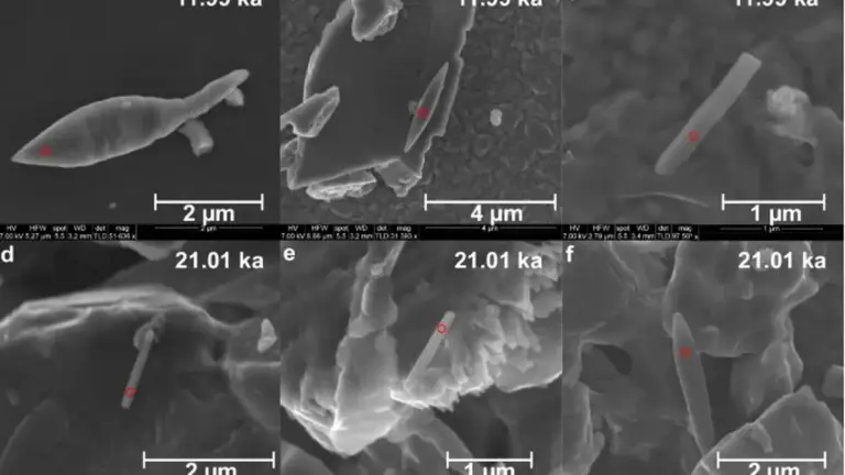 What are Magentofossils?