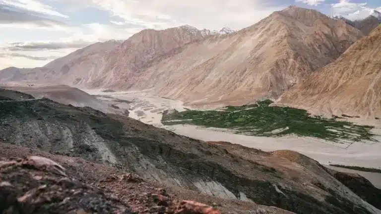 Magnetotactic bacteria