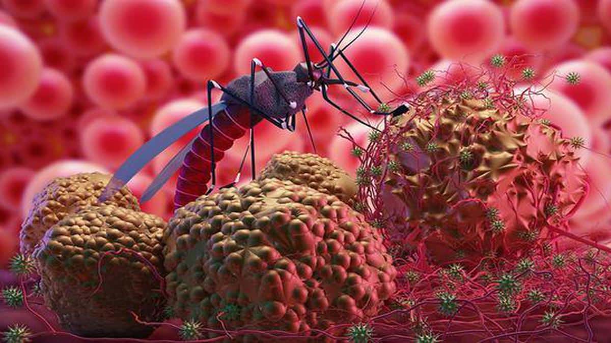 In 2022, 66% of Malaria cases in Southeast Asia were from India