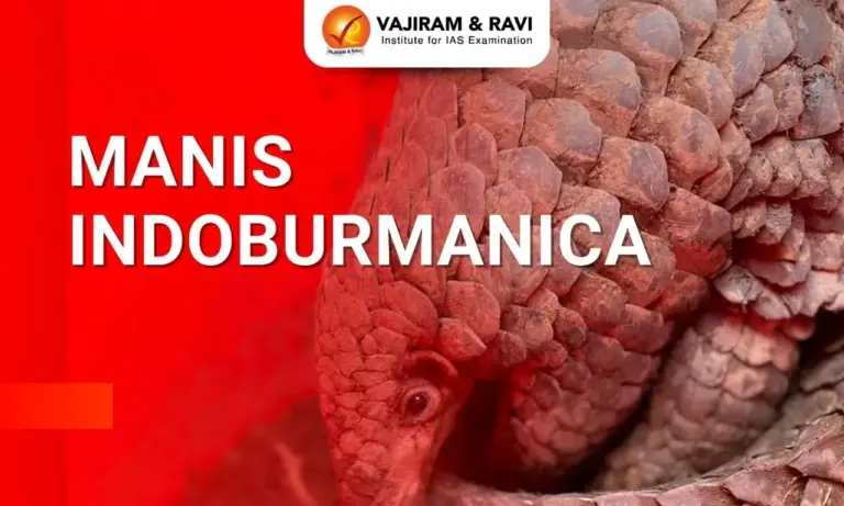 What is Manis Indoburmanica?
