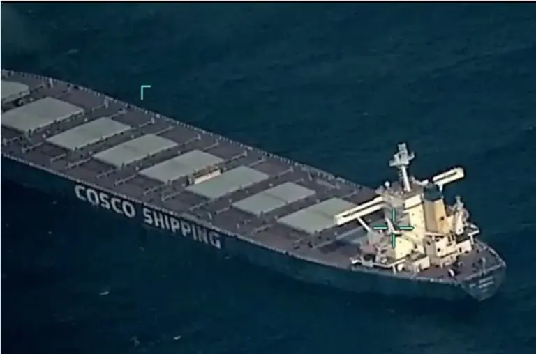 Indian Navy thwarts hijacking attempt in Arabian Sea