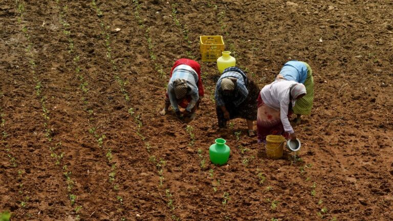 Meri Maati Mera Desh campaign