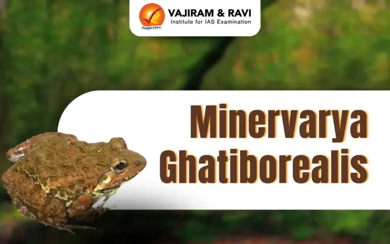 Minervarya Ghatiborealis