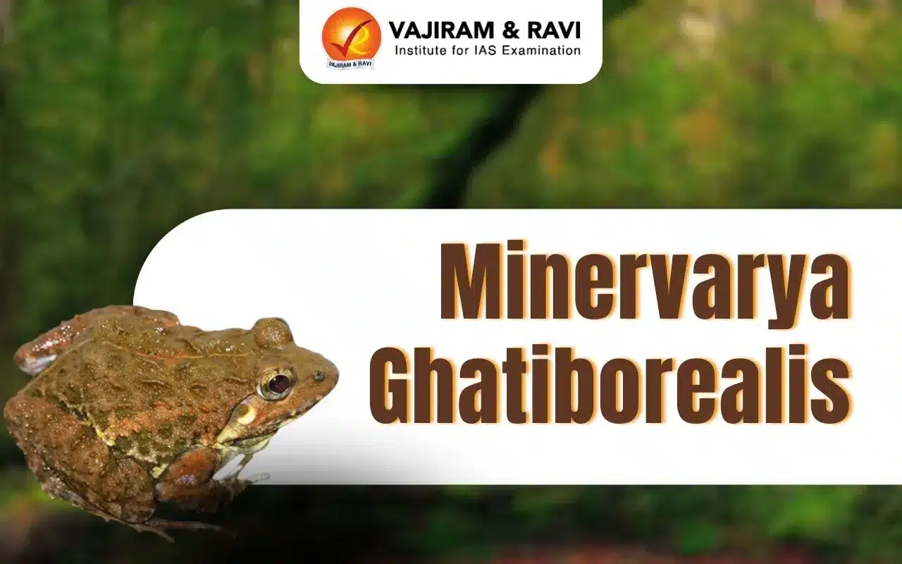 Minervarya Ghatiborealis