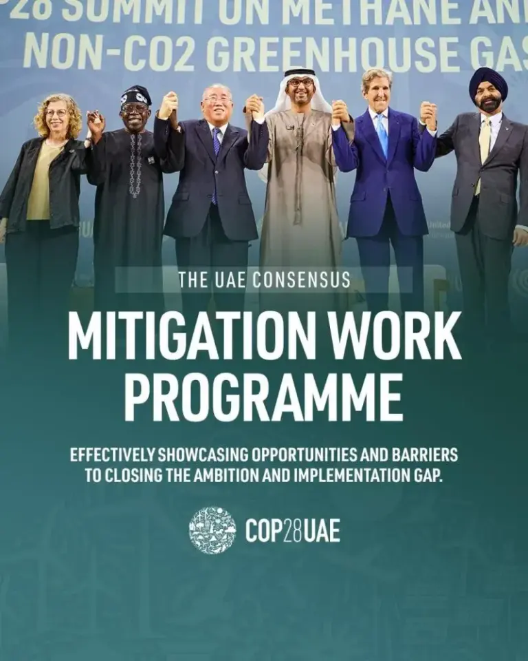 What is Mitigation Work Programme (MWP)?