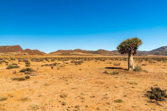 Namaqualand