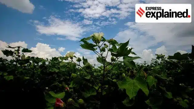 National Agriculture Code