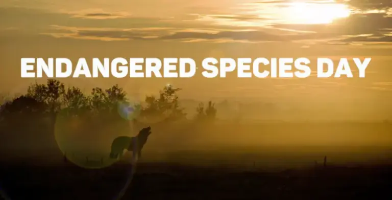National Endangered Species Day