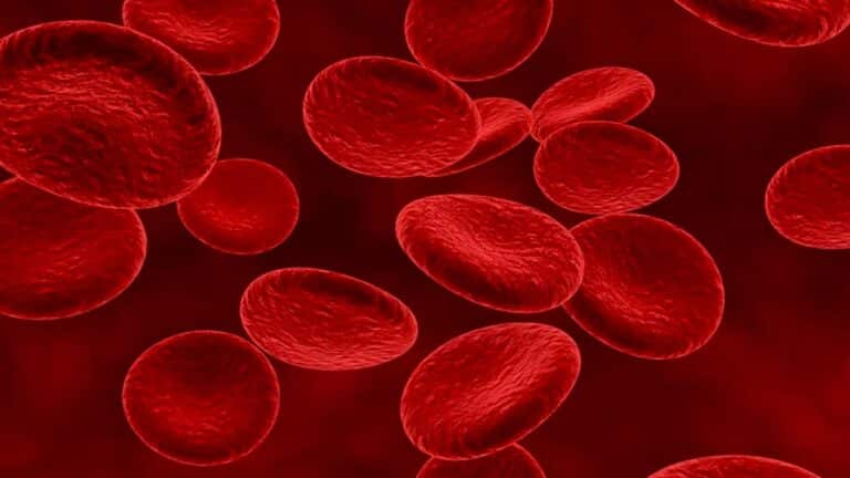 National Sickle Cell Anaemia Elimination Mission