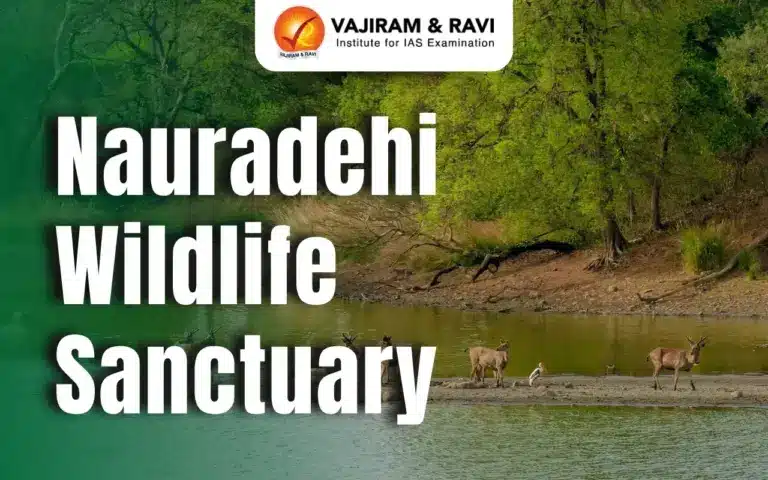 Nauradehi Wildlife Sanctuary