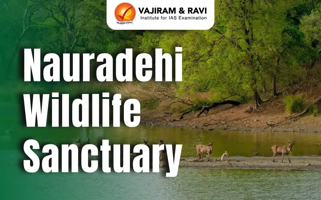 Nauradehi Wildlife Sanctuary