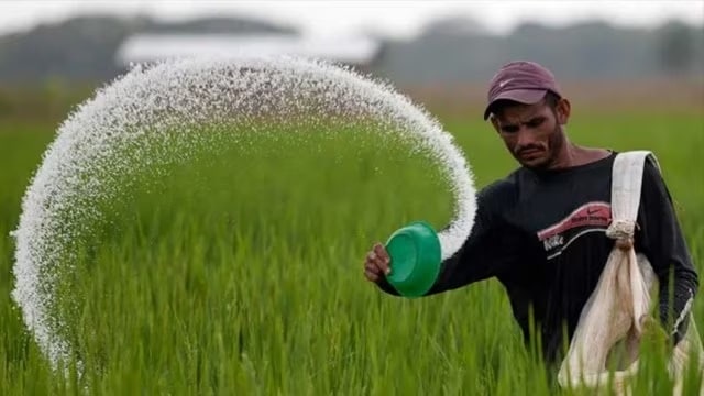 NBS Fertilisers: Govt Brings Non-Urea Fertilisers Under Price Control