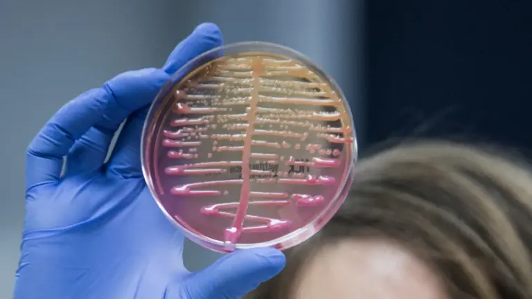 A newfound protein called 'Neo'