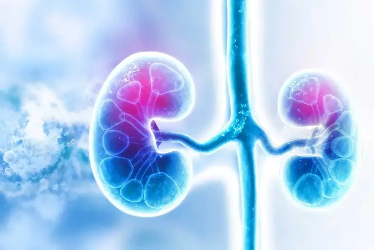What is Nephrotic Syndrome?