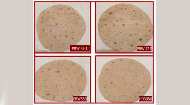 New Wheat Variety (PBW RS1)