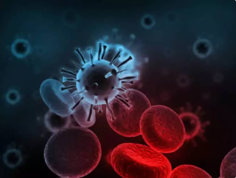 Norovirus cases detected in Kerala