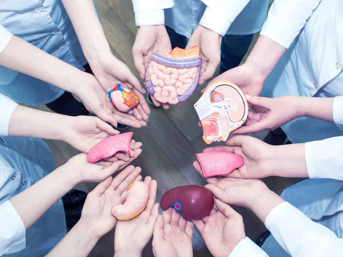 Organ donations in India
