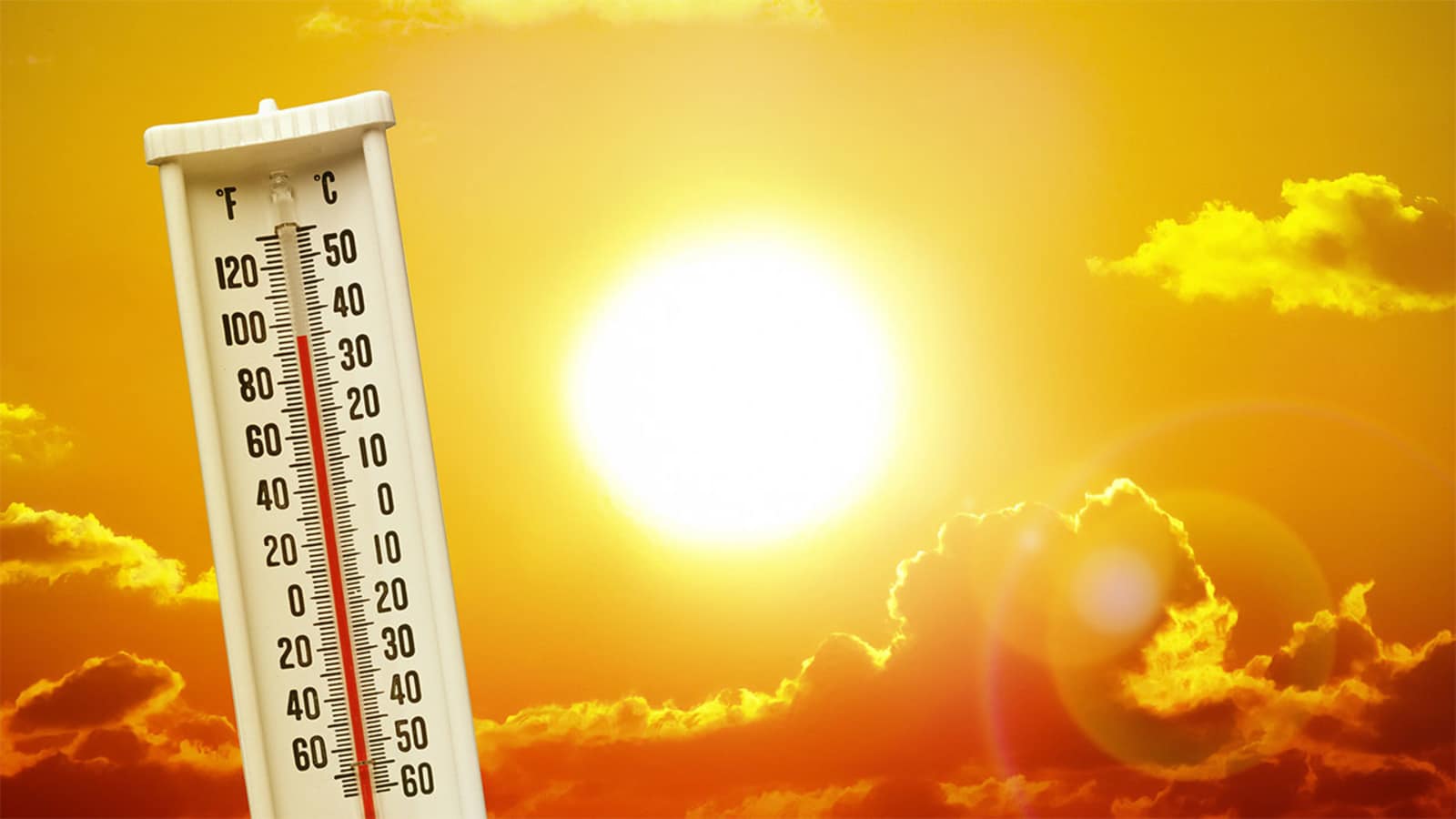 Over 160-200 million Indians could be exposed to lethal heat waves annually: World Bank