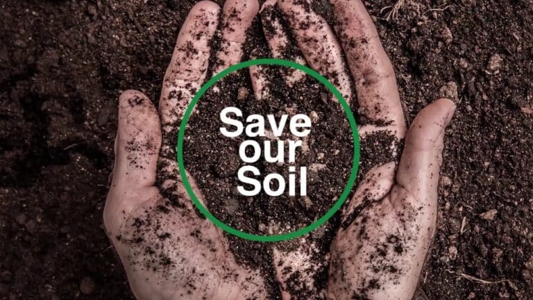 Over-exploitation over centuries has degraded 96m hectares of India’s land