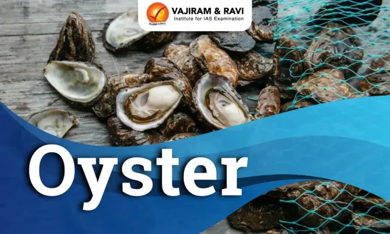 Oyster