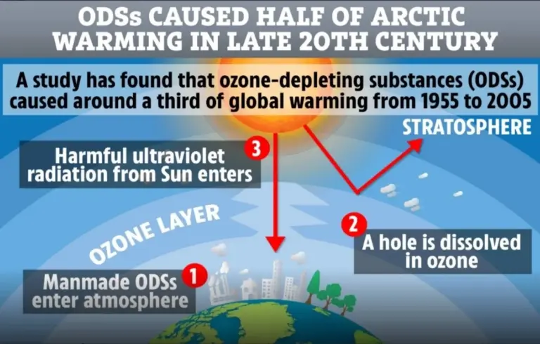 Ozone-Depleting Substances (ODS)