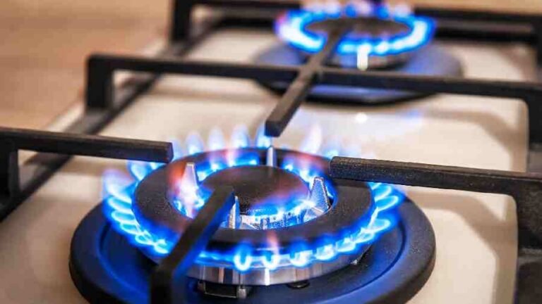 Panel lays road map for freedom in gas pricing