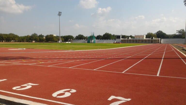 Pandit Deendayal Upadhyay National Welfare Fund for Sportspersons (PDUNWFS)