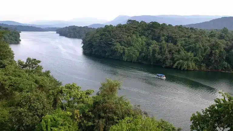 Peechi -Vazhani Wildlife Sanctuary