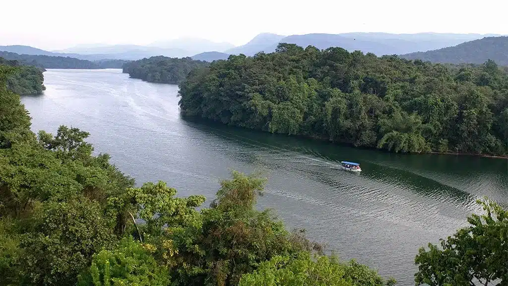 Peechi -Vazhani Wildlife Sanctuary